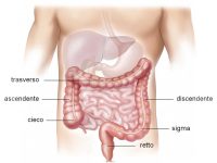 Tumore del colon retto: scoperto un gene “mordi e fuggi”