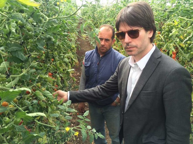 Crisi agricola: Eurodeputato M5S visita campagne Pachino ed agrumicolo