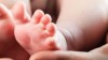 Epidemia di salmonella tra neonati collegata a lotti di latte artificiale contaminati della “Lactalis Group” in Francia