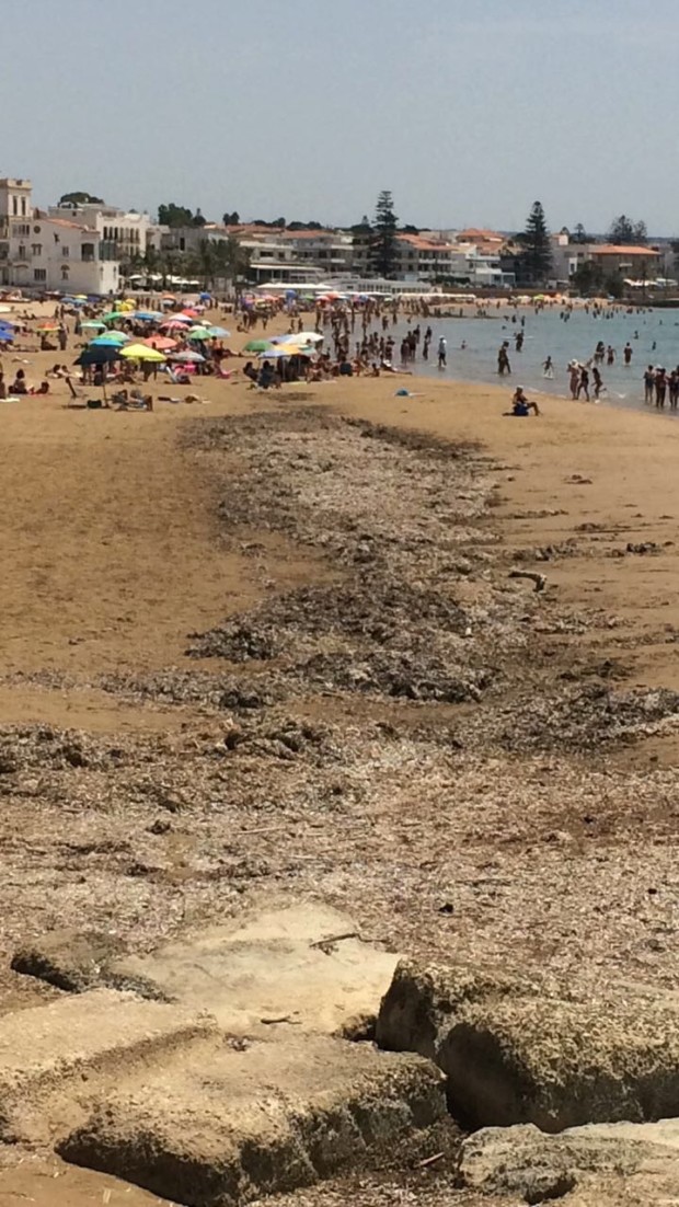 Marina di Ragusa. Angelo La Porta: “Spiaggia della “Mancina” piena di alghe, preclusa alla balneazione”