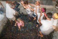 Puglia Enoturismo.  la Festa de Lu Capucanali, il rito della vendemmia antica con i canti popolari e il pranzo fra i filari di uva
