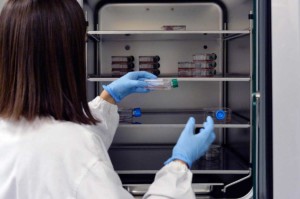 Gli scienziati hanno sviluppato una terapia genetica futuristica per il cancro del fegato