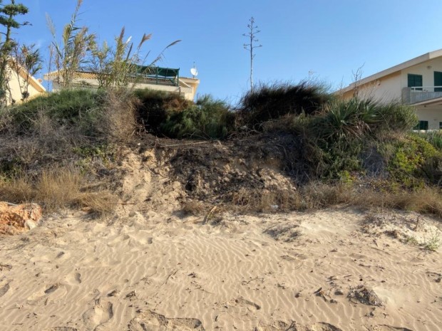 Incendi dolosi dune Casuzze. L’appello del comitato “Casuzze: salviamo le dune e la spiaggia”