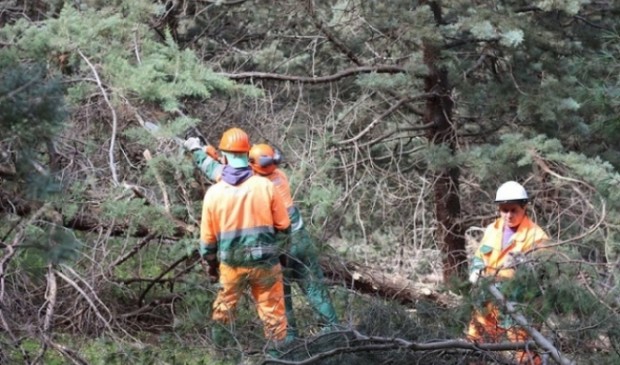 Orazio Ragusa: “Inizia a giorni il percorso per la riforma che riguarda i lavoratori forestali”