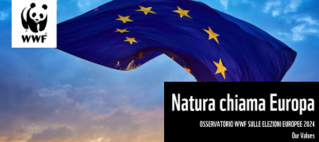 Elezioni europee: WWF interroga i partiti italiani su ambiente, clima e natura