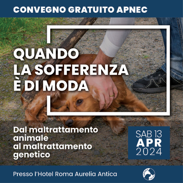 APNEC (Associazione Professionale Nazionale Educatori Cinofili): ”Quando la sofferenza è di moda. Dal maltrattamento animale al maltrattamentico genetico”. Convegno il 13 aprile a Roma.