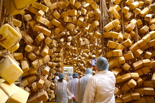 Agroalimentare: giovedì 18 aprile a Ragusa l’evento conclusivo di “Progetto di Fattoria” dedicato al formaggio Ragusano Dop